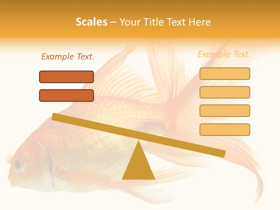 Carp Motion Orange PowerPoint Template