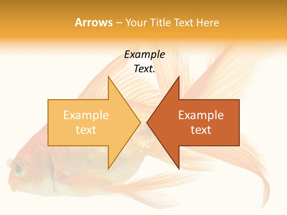 Carp Motion Orange PowerPoint Template