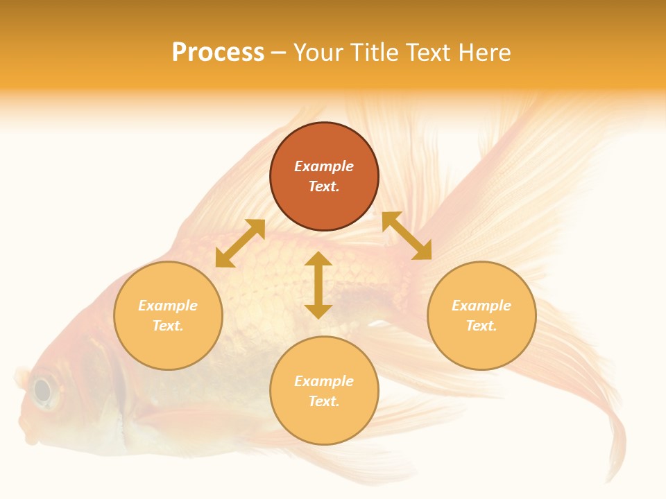 Carp Motion Orange PowerPoint Template