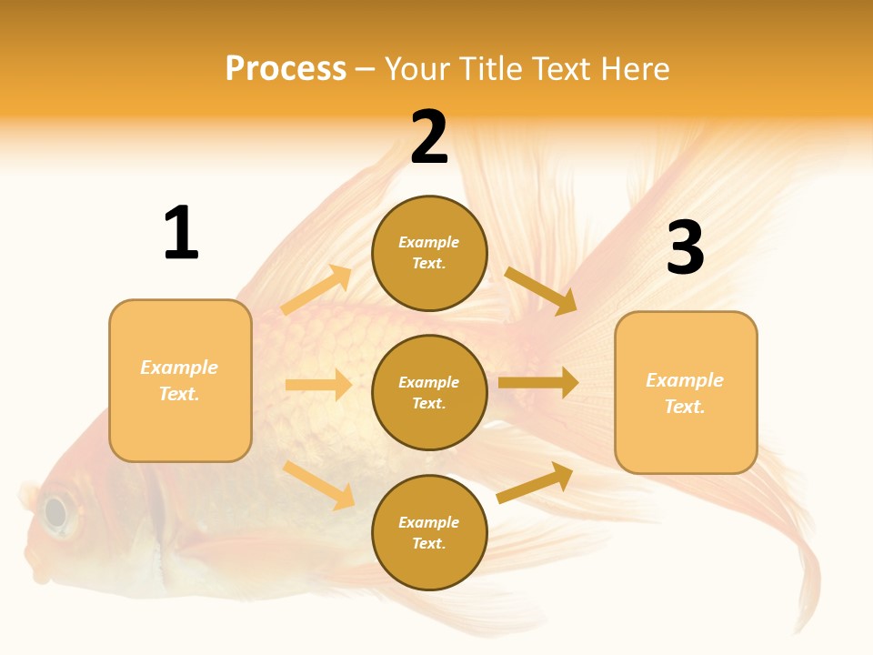 Carp Motion Orange PowerPoint Template