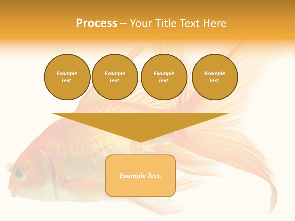 Carp Motion Orange PowerPoint Template