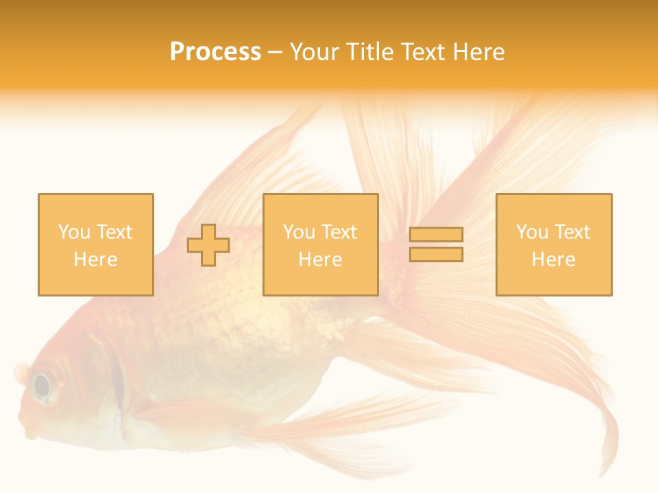 Carp Motion Orange PowerPoint Template