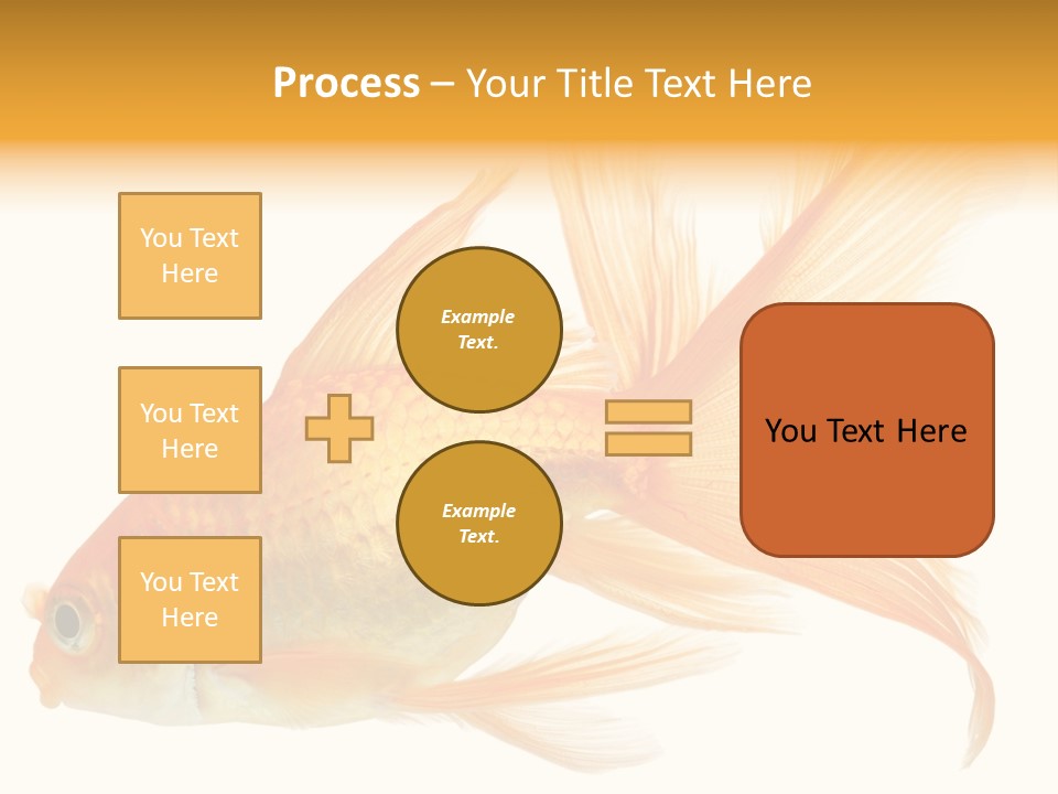 Carp Motion Orange PowerPoint Template