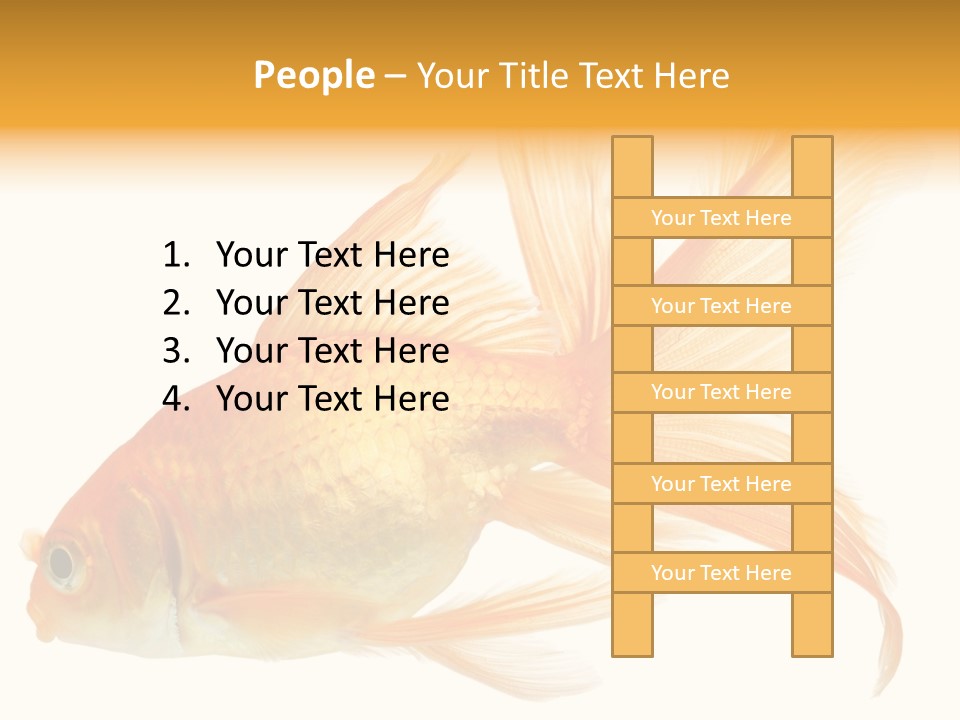 Carp Motion Orange PowerPoint Template