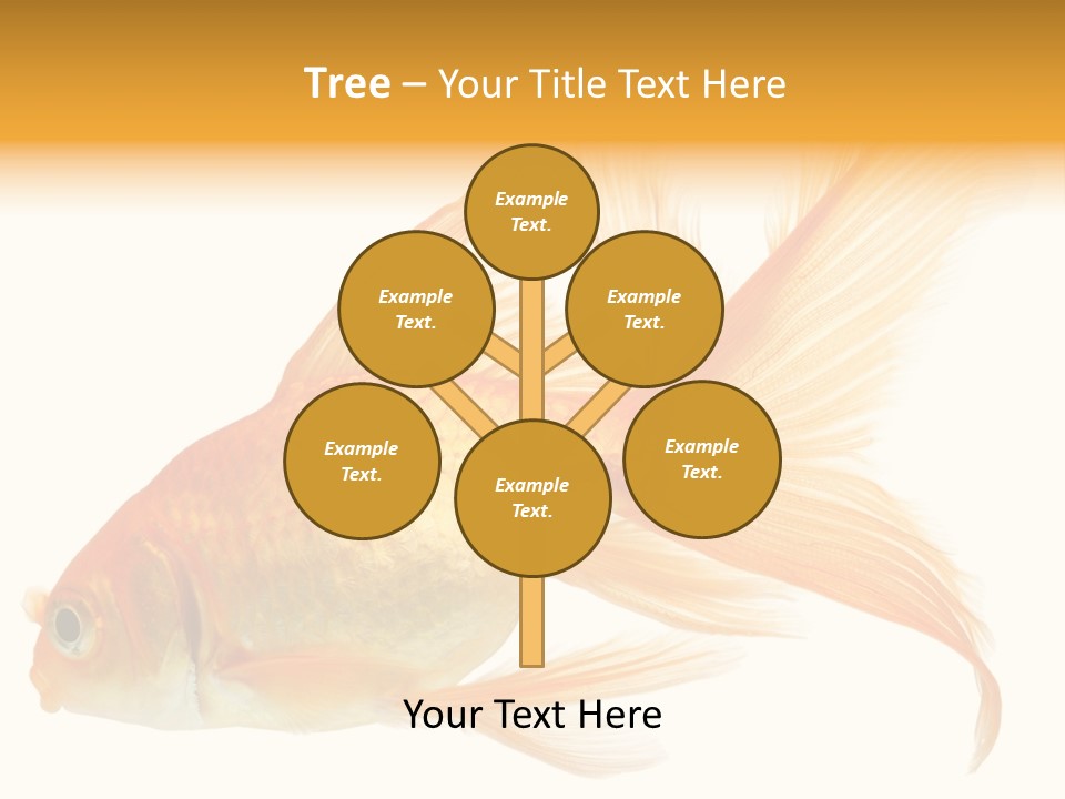 Carp Motion Orange PowerPoint Template