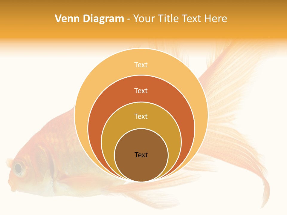 Carp Motion Orange PowerPoint Template