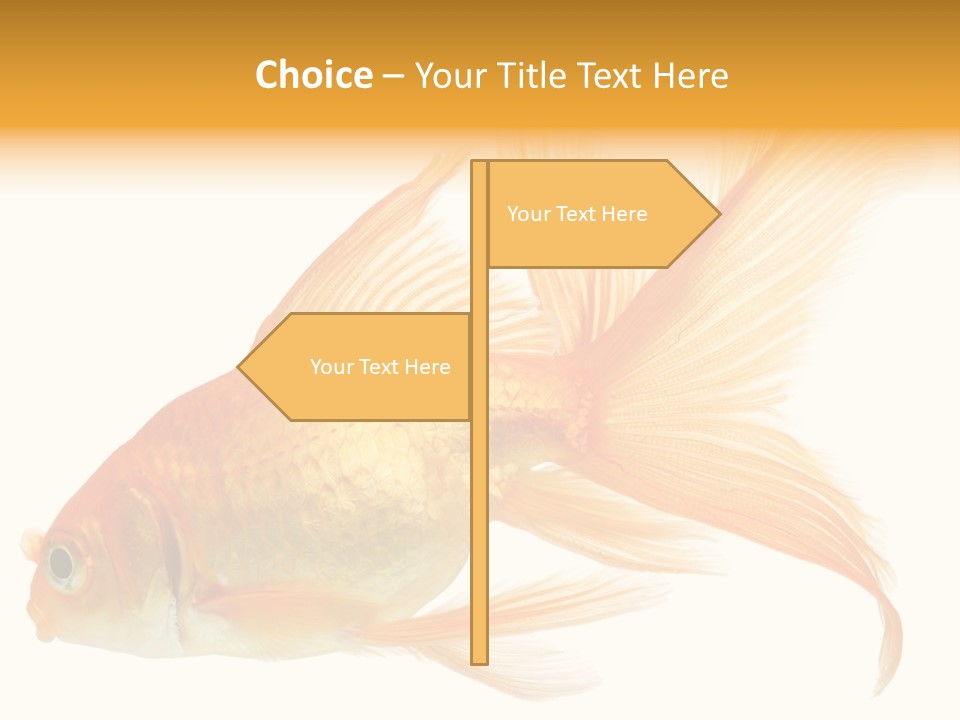 Carp Motion Orange PowerPoint Template