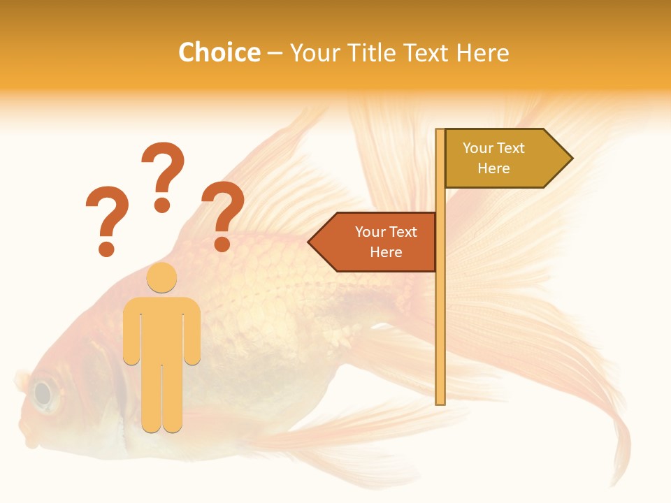 Carp Motion Orange PowerPoint Template