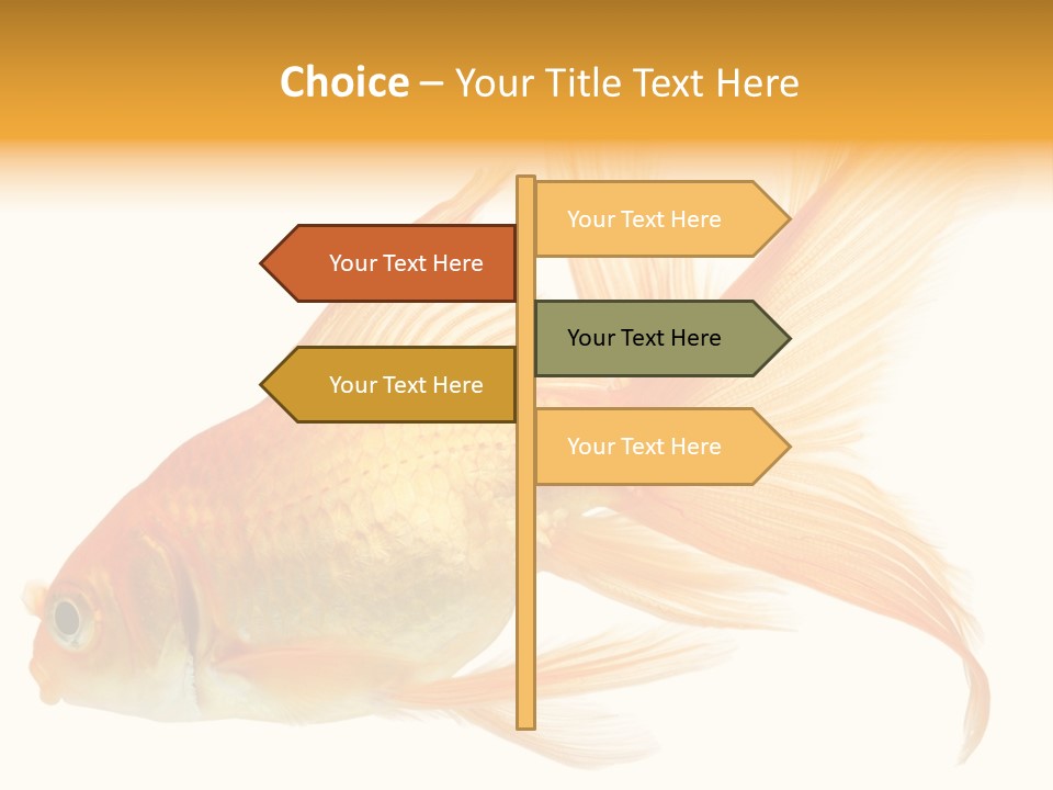 Carp Motion Orange PowerPoint Template