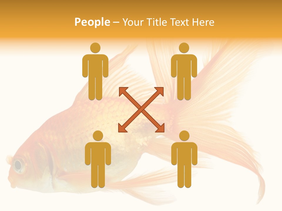 Carp Motion Orange PowerPoint Template
