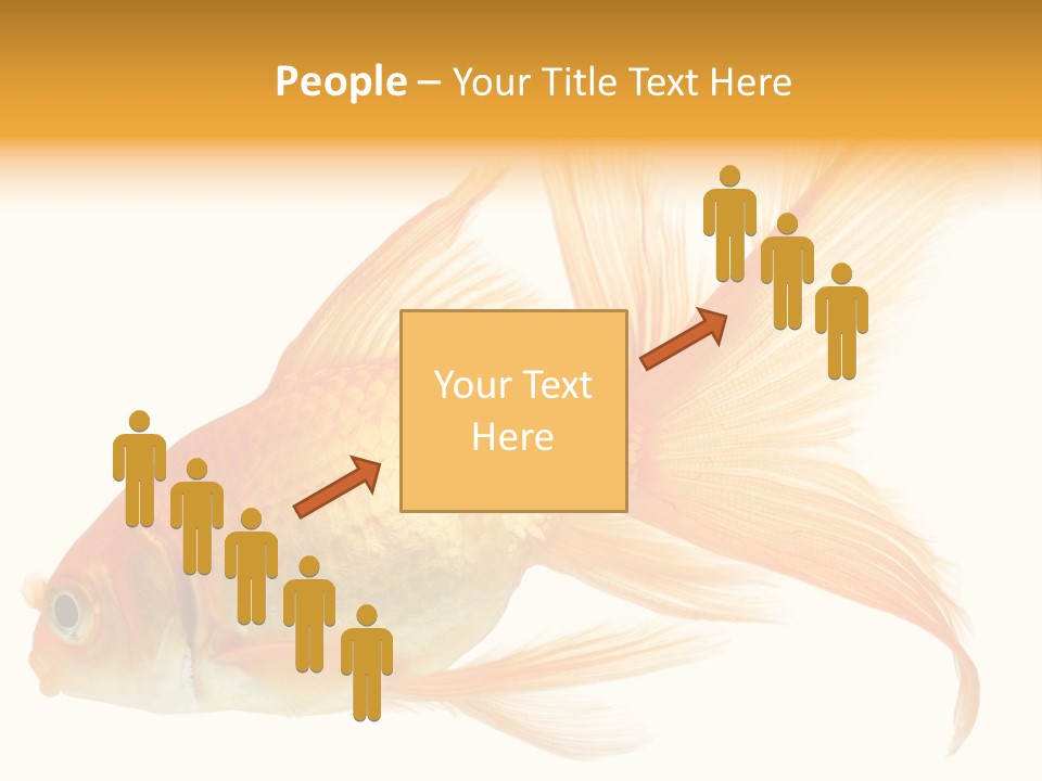 Carp Motion Orange PowerPoint Template