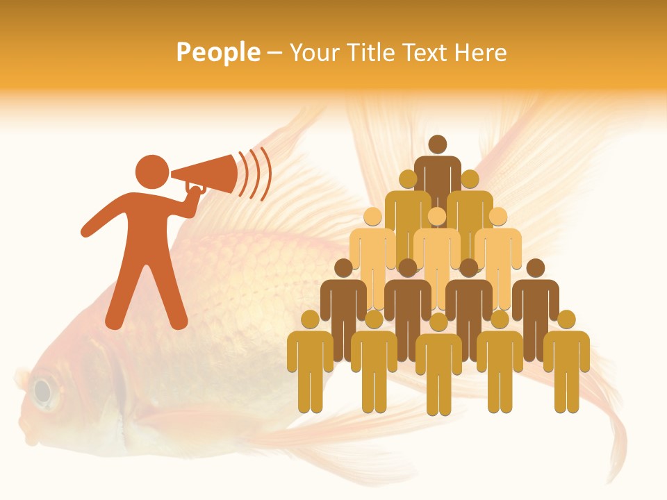 Carp Motion Orange PowerPoint Template