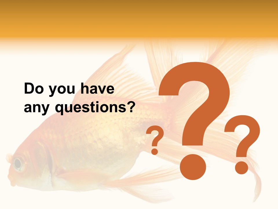 Carp Motion Orange PowerPoint Template