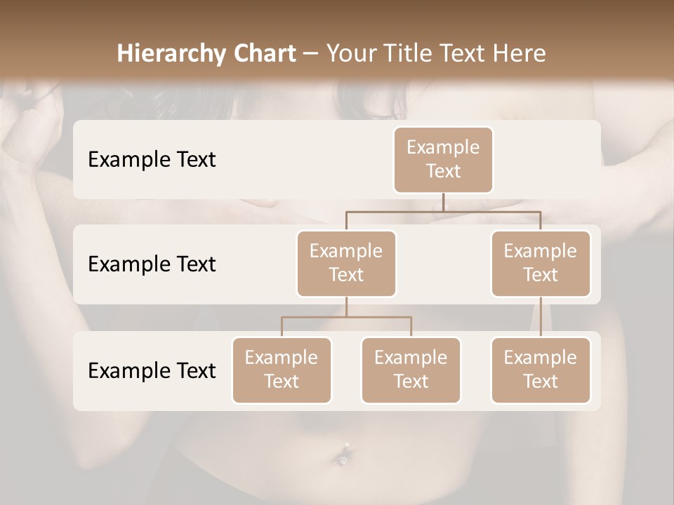 Skin Elegant Hairstyle PowerPoint Template