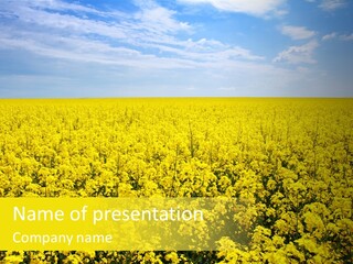 Colza Rural Cloud PowerPoint Template