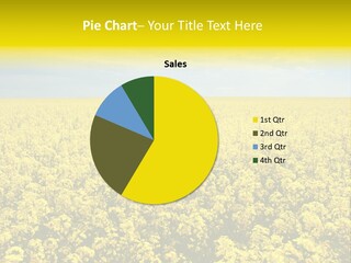 Colza Rural Cloud PowerPoint Template