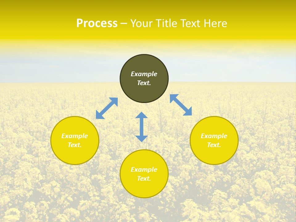 Colza Rural Cloud PowerPoint Template