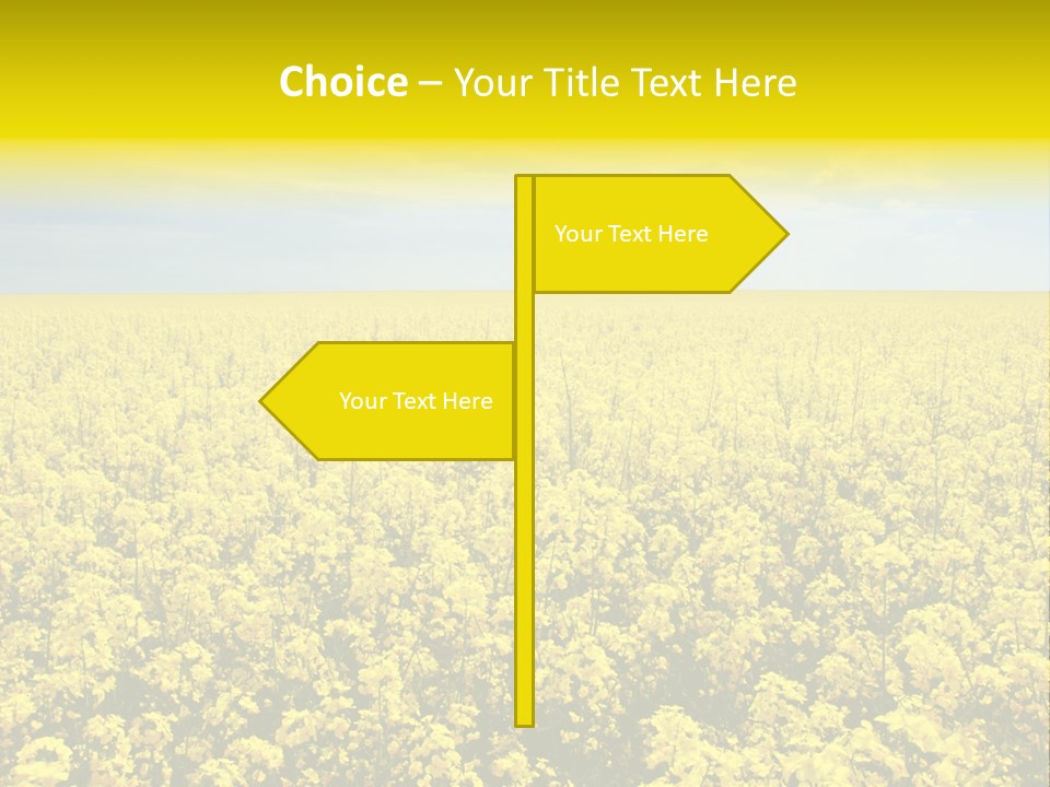 Colza Rural Cloud PowerPoint Template
