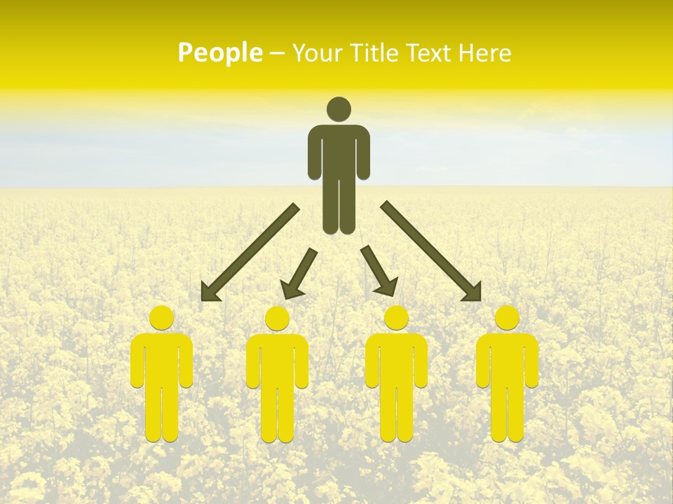 Colza Rural Cloud PowerPoint Template