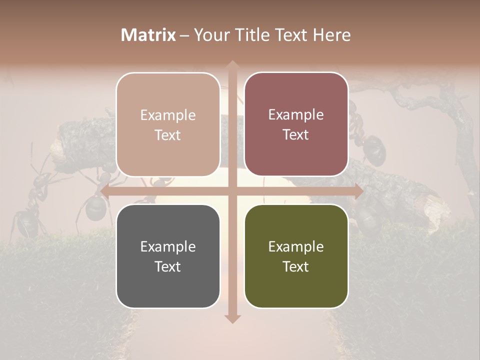 Fairytale Un Et Wood PowerPoint Template