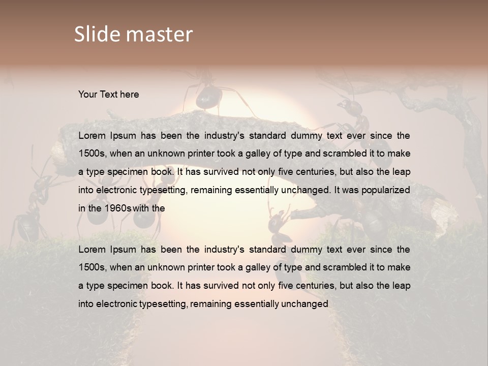 Fairytale Un Et Wood PowerPoint Template