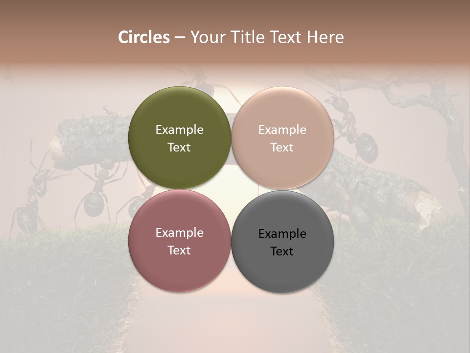 Fairytale Un Et Wood PowerPoint Template