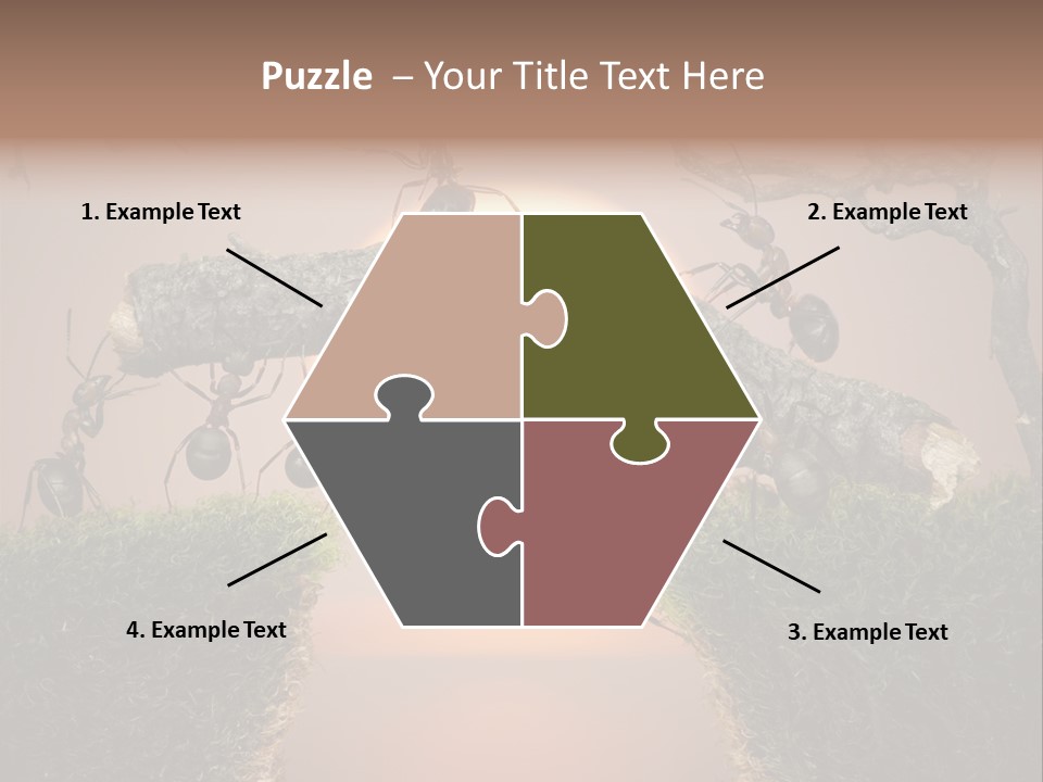 Fairytale Un Et Wood PowerPoint Template