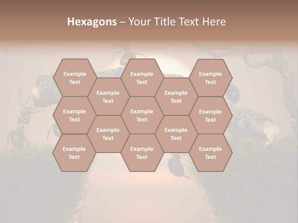 Fairytale Un Et Wood PowerPoint Template