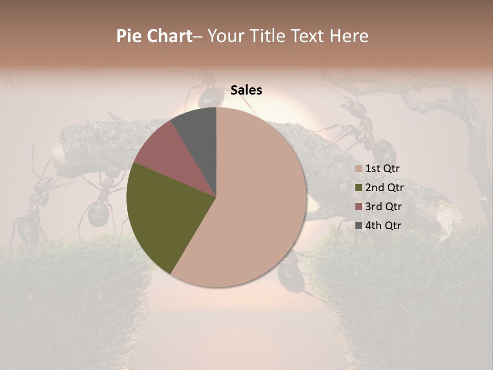 Fairytale Un Et Wood PowerPoint Template