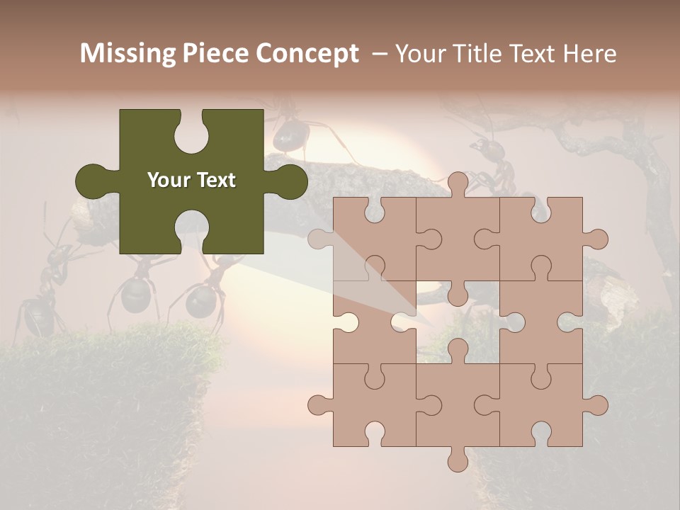 Fairytale Un Et Wood PowerPoint Template