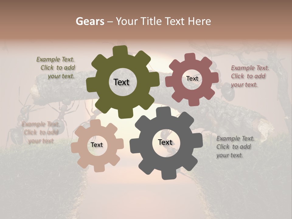 Fairytale Un Et Wood PowerPoint Template