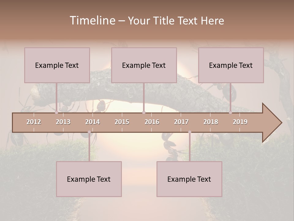 Fairytale Un Et Wood PowerPoint Template