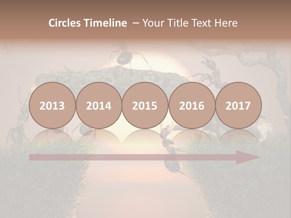 Fairytale Un Et Wood PowerPoint Template