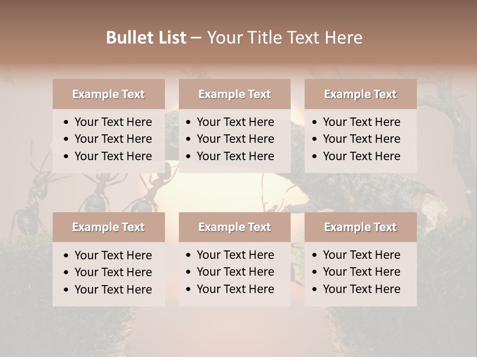 Fairytale Un Et Wood PowerPoint Template