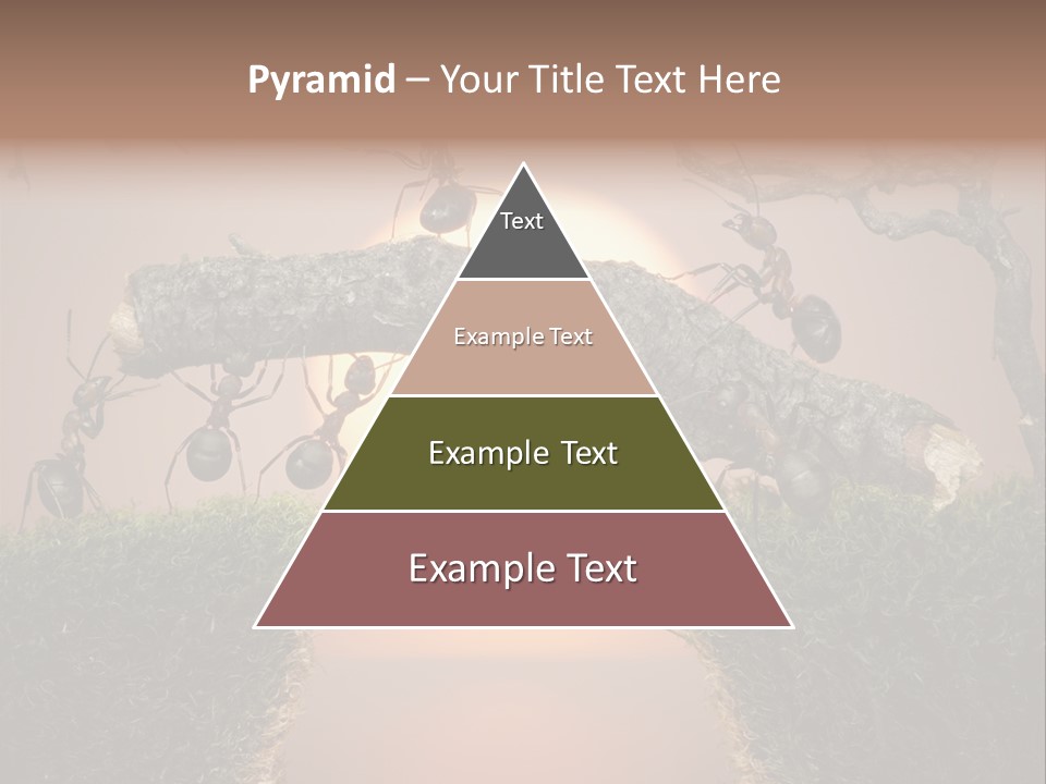 Fairytale Un Et Wood PowerPoint Template