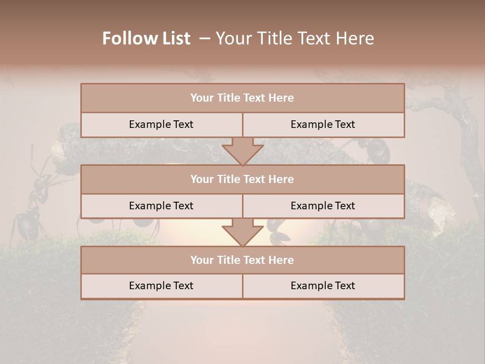 Fairytale Un Et Wood PowerPoint Template