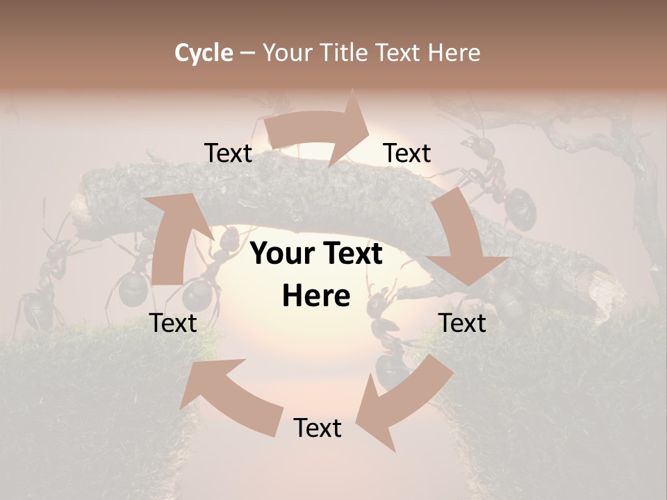 Fairytale Un Et Wood PowerPoint Template