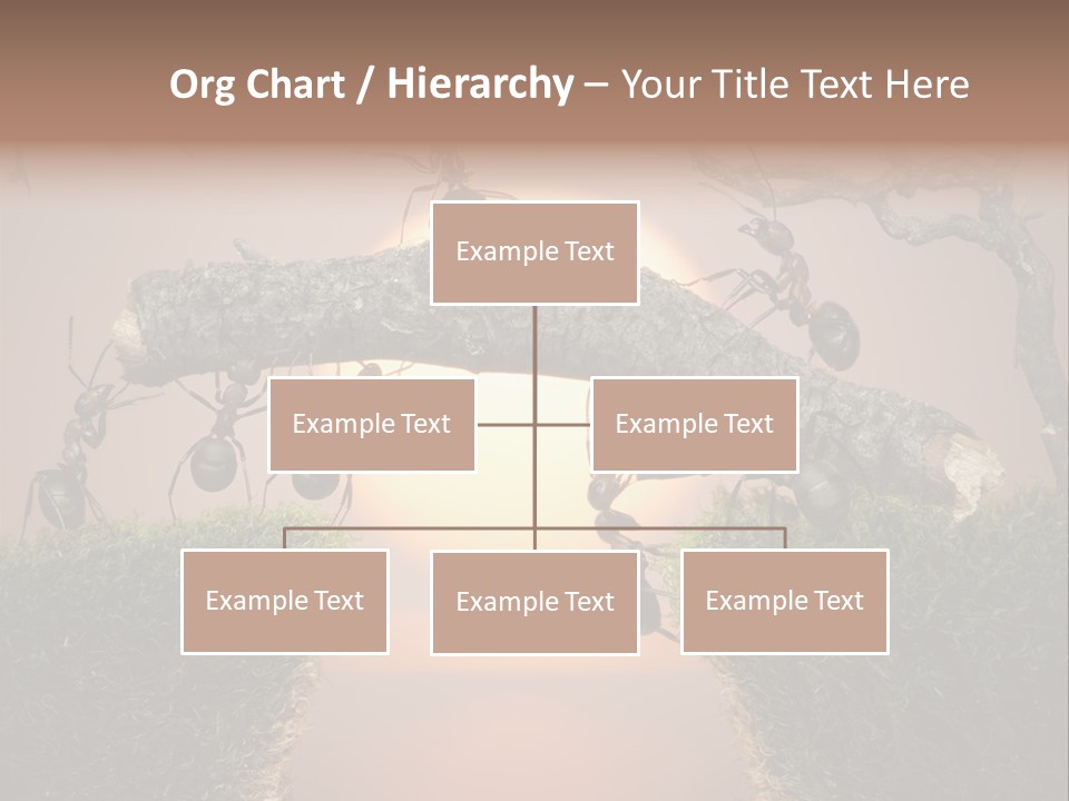 Fairytale Un Et Wood PowerPoint Template