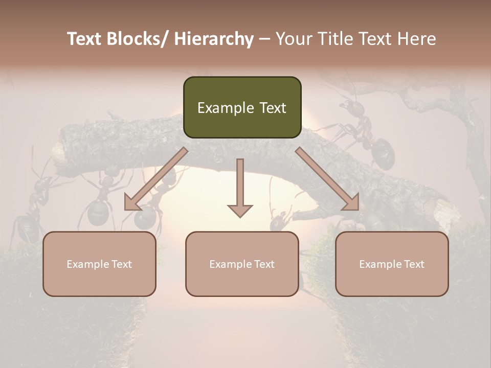 Fairytale Un Et Wood PowerPoint Template