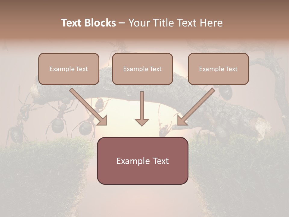 Fairytale Un Et Wood PowerPoint Template