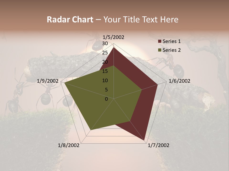 Fairytale Un Et Wood PowerPoint Template