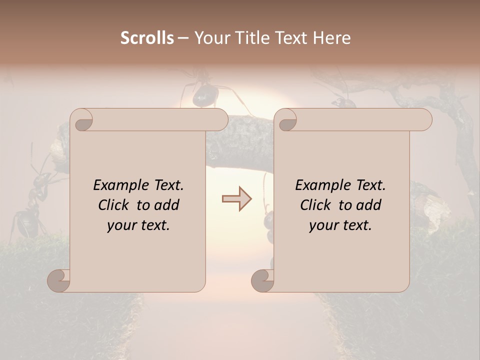 Fairytale Un Et Wood PowerPoint Template