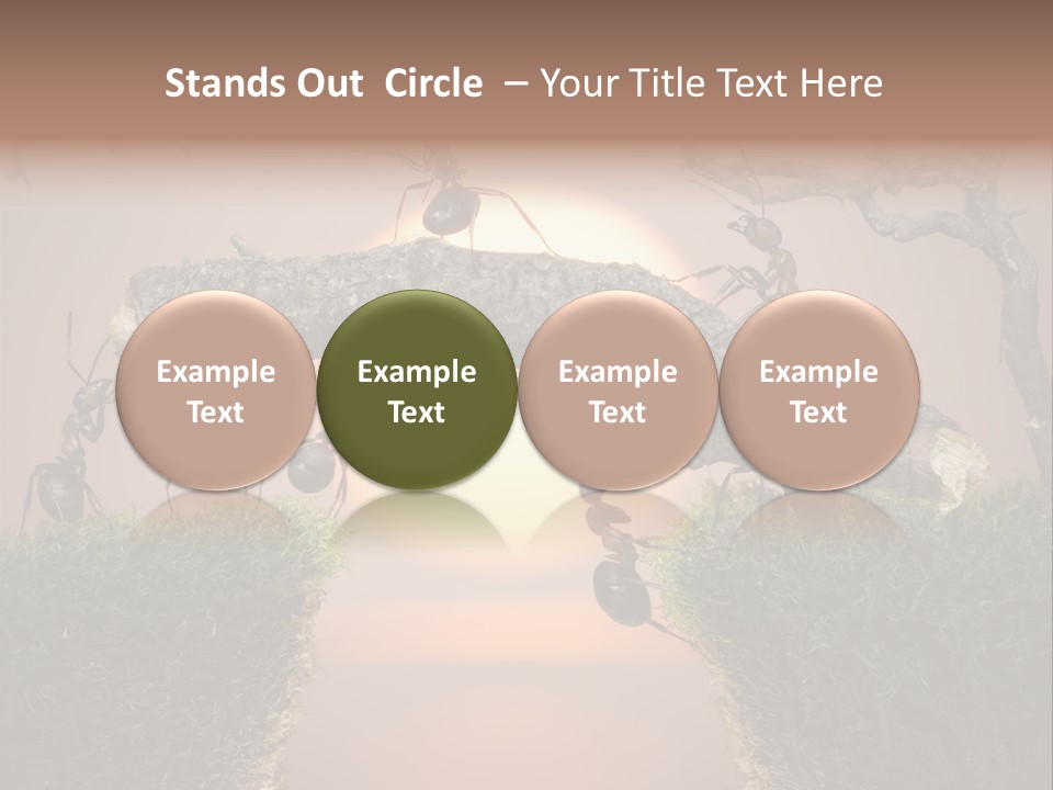 Fairytale Un Et Wood PowerPoint Template