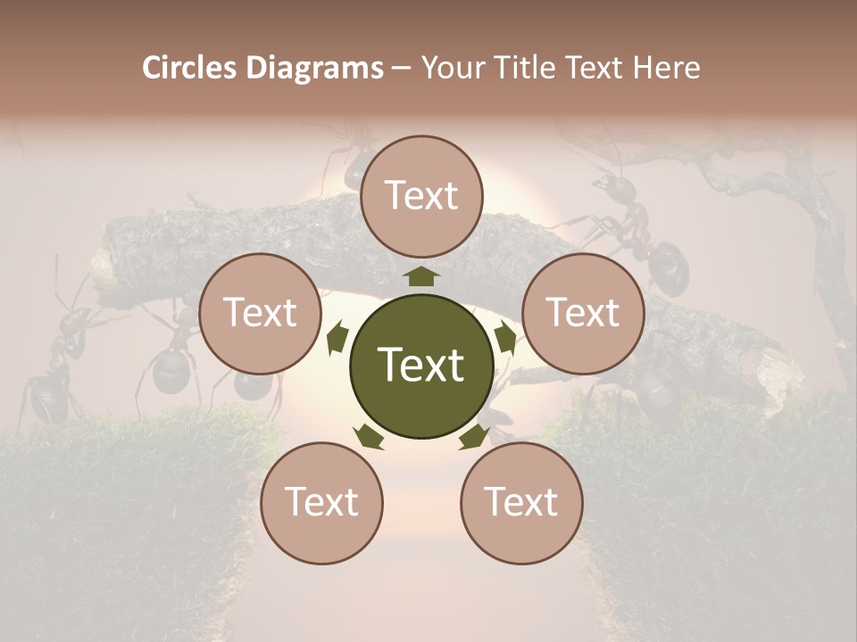 Fairytale Un Et Wood PowerPoint Template