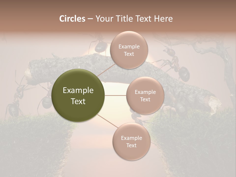 Fairytale Un Et Wood PowerPoint Template