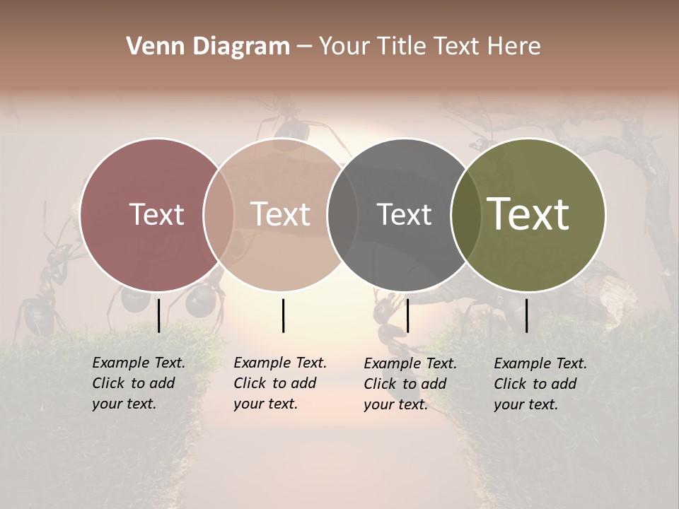 Fairytale Un Et Wood PowerPoint Template