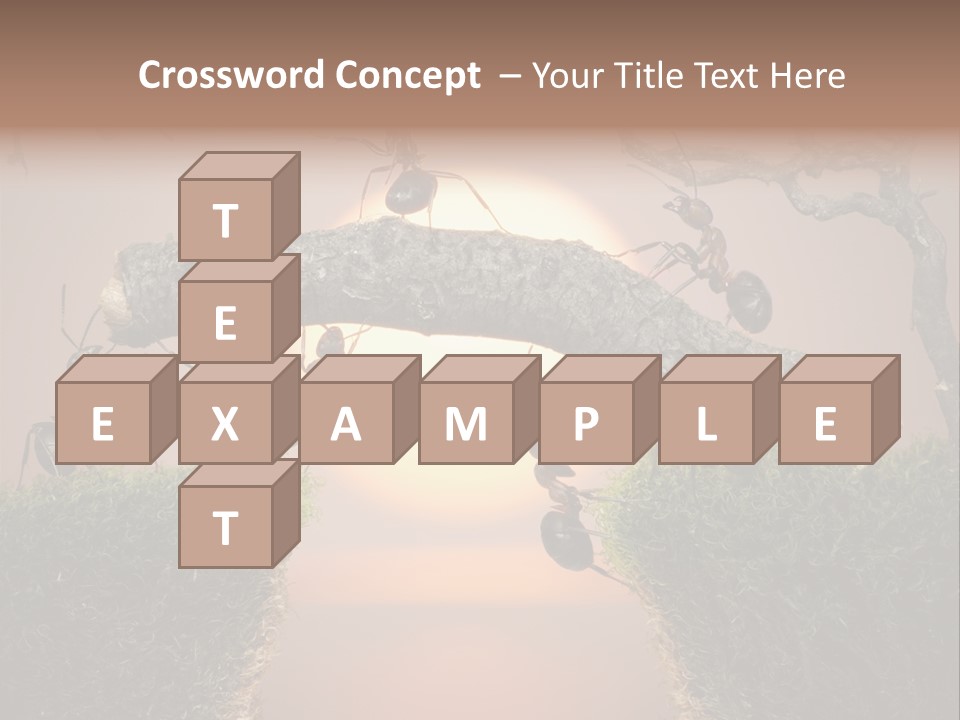 Fairytale Un Et Wood PowerPoint Template