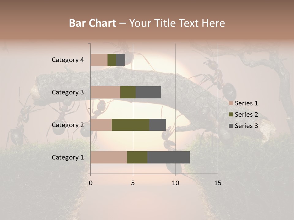 Fairytale Un Et Wood PowerPoint Template