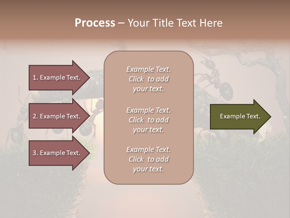 Fairytale Un Et Wood PowerPoint Template