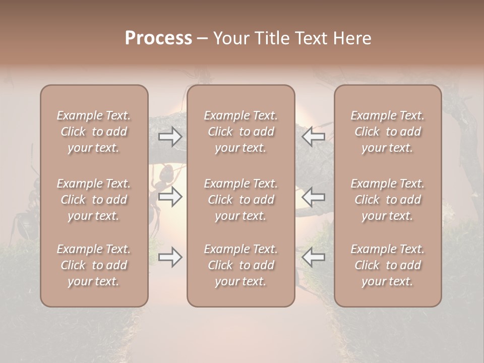 Fairytale Un Et Wood PowerPoint Template